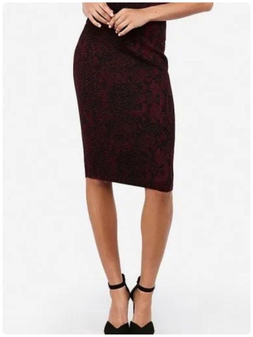 Express x Negin Mirsalehi Snake Print Knit Pencil Skirt